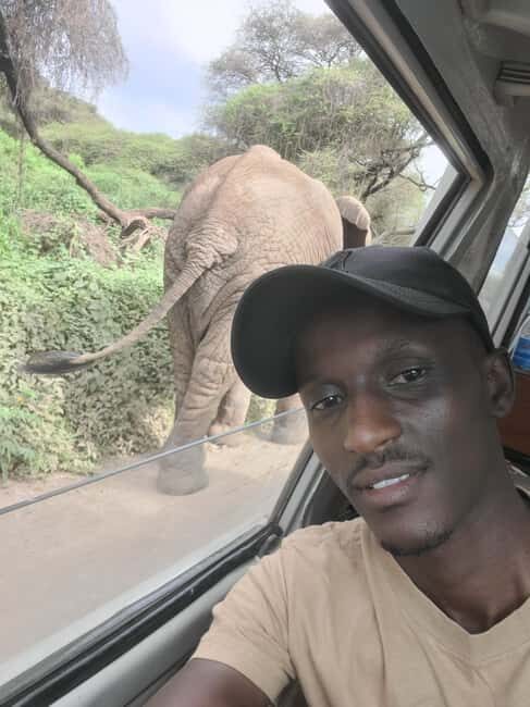 Tarangire & Ngorongoro Crater: 2-Day Shared Safari Adventure - Final Thoughts: Who Should Consider This Safari?