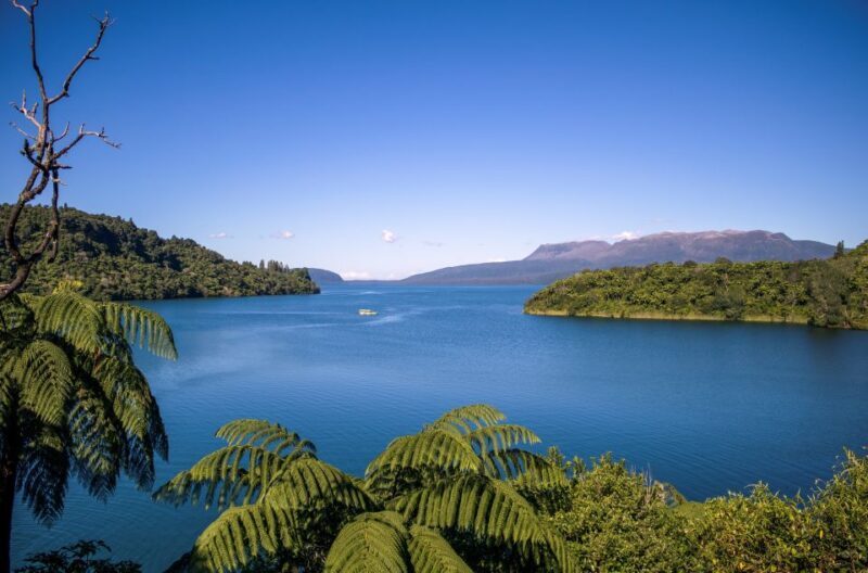 Tarawera and Lakes 2-Hour Duck Eco Tour - Practical Aspects and Value