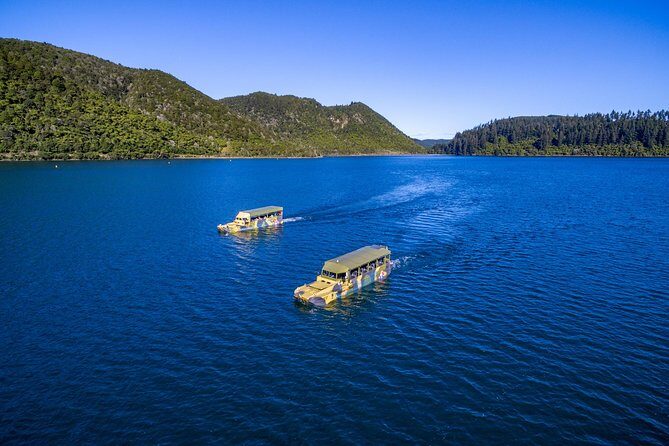 Tarawera and Rotorua Lakes Eco Tour by Boat with Guide - Who Should Consider This Tour?