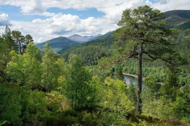 Tarey Bhir Buddhist Ridge Tour (3 Days / 2 Nights) - Discovering the Tarey Bhir Buddhist Ridge Tour: A Balanced Look