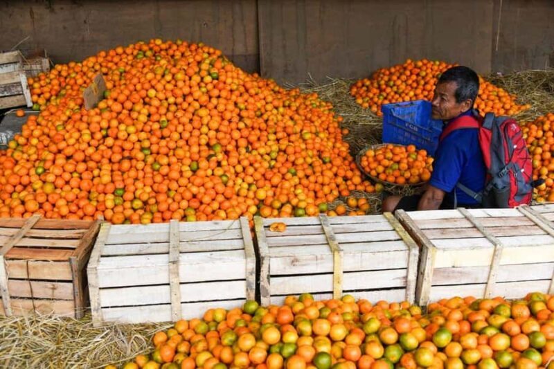 Tarey Bhir Buddhist Ridge Tour (3 Days / 2 Nights) - FAQ