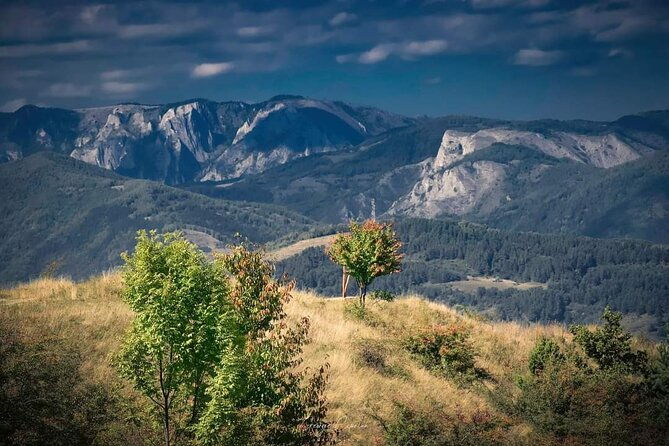 targoviste-and-bran-castle-day-tour-from-bucharest-dropoff-brasov