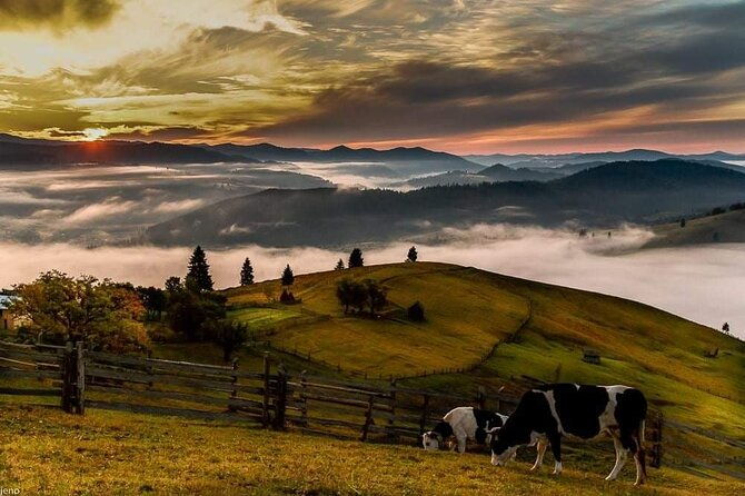 targoviste-and-bran-castle-day-tour-from-bucharest-dropoff-brasov