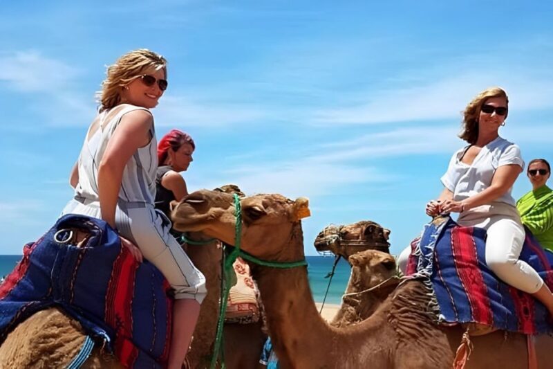 Tarifa/Algeciras: Tangier Private Day Tour with Ferry Ticket - A Closer Look at the Tangier Day Tour