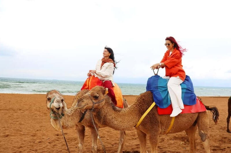 Tarifa: Day trip to Tangier by ferry with lunch and tour guide - FAQ