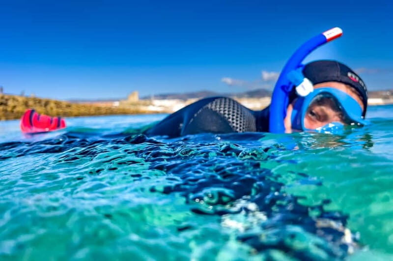 Tarifa: Guided Strait Natural Park Snorkel Tour - Key Points