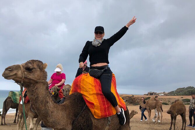 Tarifa to Tangier Tour with ferry ticket , lunch & camel ride - Key Points
