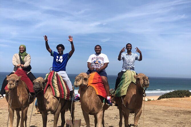 Tarifa to Tangier Tour with ferry ticket , lunch & camel ride - FAQ