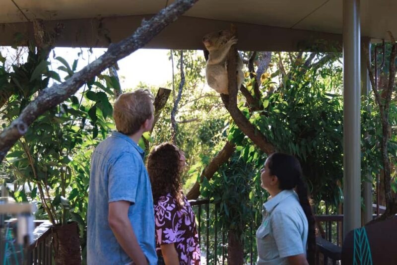 Taronga Zoo Sydney Wild Australia Experience - The Value of the Experience and Pricing