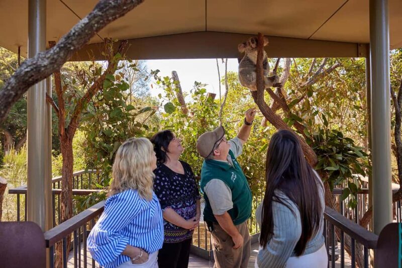 Taronga Zoo Sydney Wild Australia Experience - FAQ