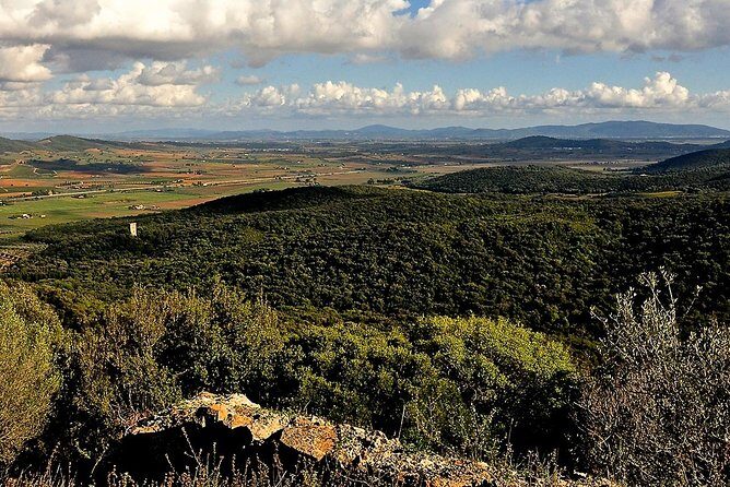 Tarot Garden and Maremma Park - What Reviewers Say  