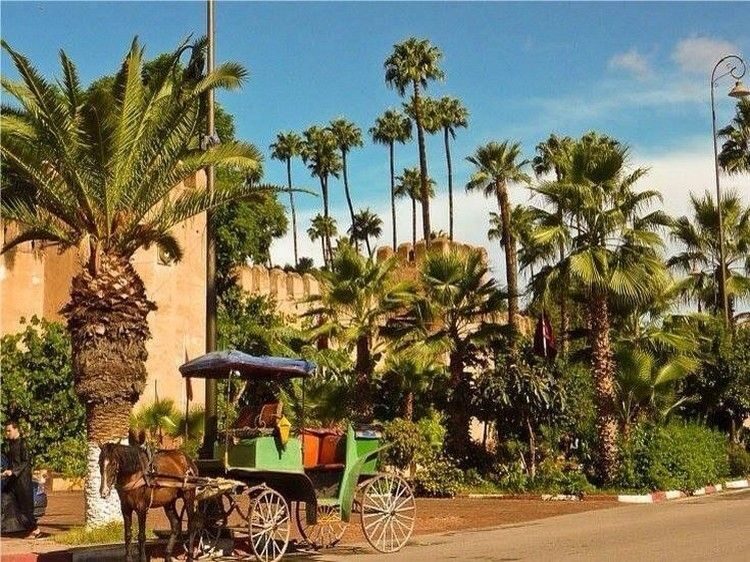 Taroudant and Tiout Oasis Trip With Lunch - A Close Look at the Itinerary and Highlights