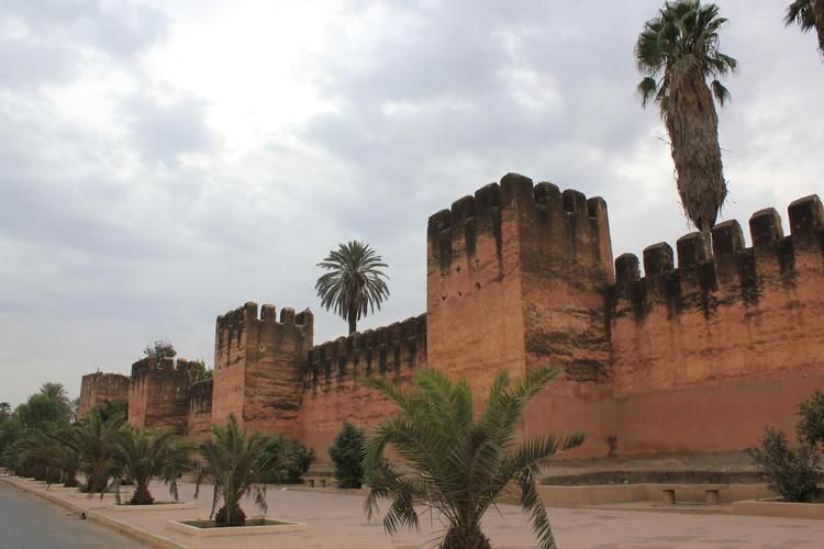 Taroudant and Tiout Oasis Trip With Lunch - Exploring Taroudant’s Ramparts and Souks