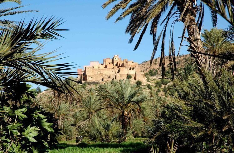 Taroudant and Tiout Oasis Trip With Lunch - The Ruins of the Kasbah and the Village of Tiout