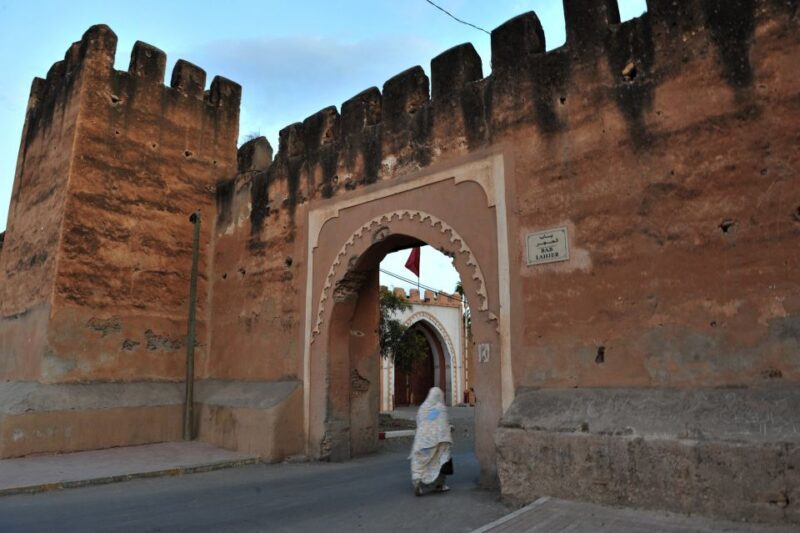 Taroudant and Tiout Oasis Trip With Lunch - Key Points