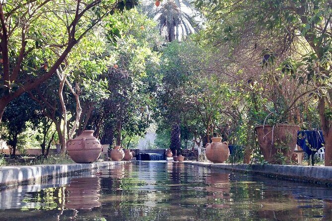 Taroudant the berber city +The Oasis of Tiout village - Who Will Love This Tour?