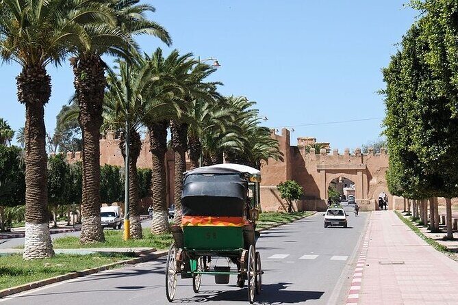 Taroudant & Tiout Day Trip Tour - The Experience: What Travelers Love