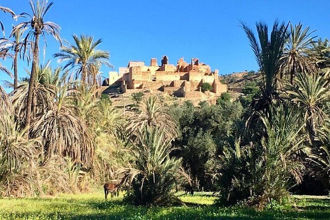 Taroudant Tiout with meal 1 day - The Oasis at Tiout: Nature and Slight Disappointments