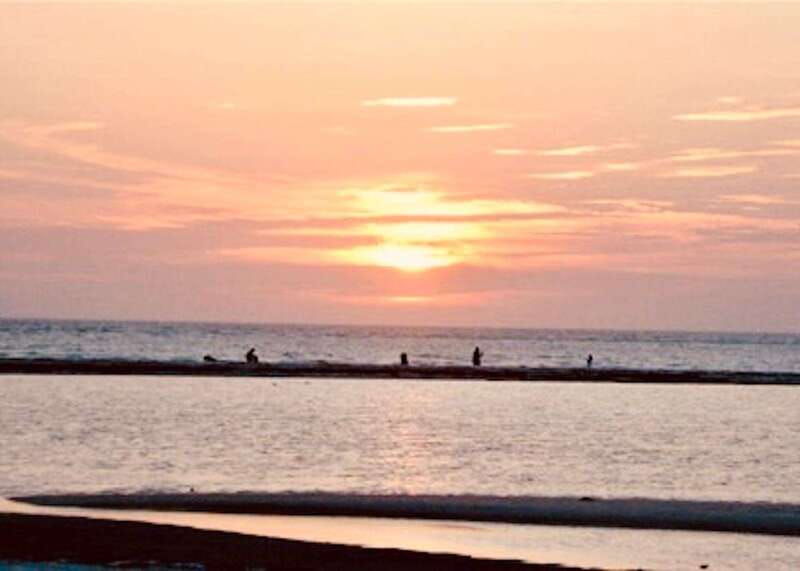 tarpon-springs-evening-dolphin-cruise-2