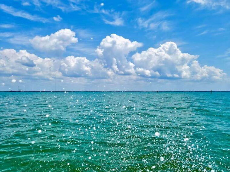 tarpon-springs-evening-dolphin-cruise-2