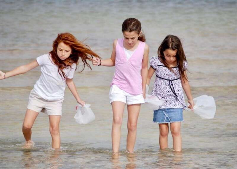 Tarpon Springs: Evening Dolphin Cruise - Key Points