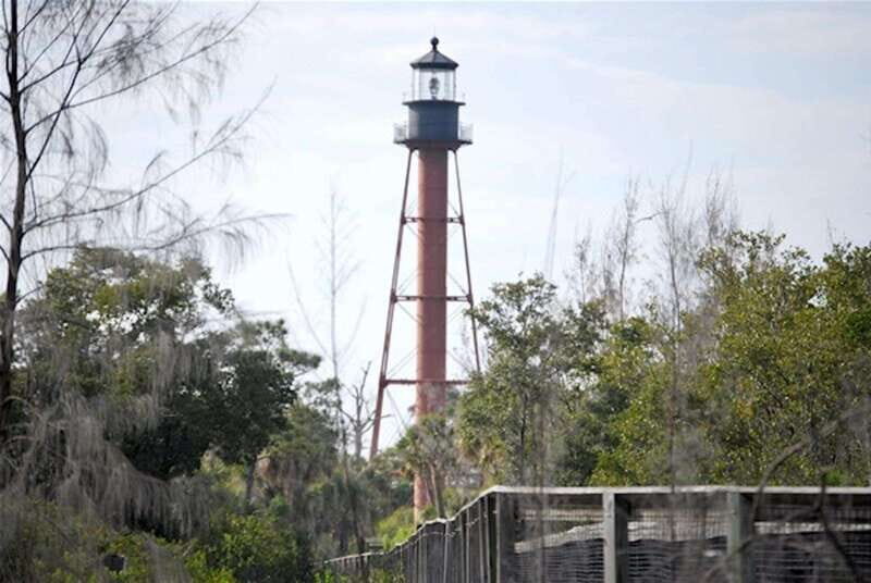 Tarpon Springs: Evening Dolphin Cruise - Who Should Consider This Tour?