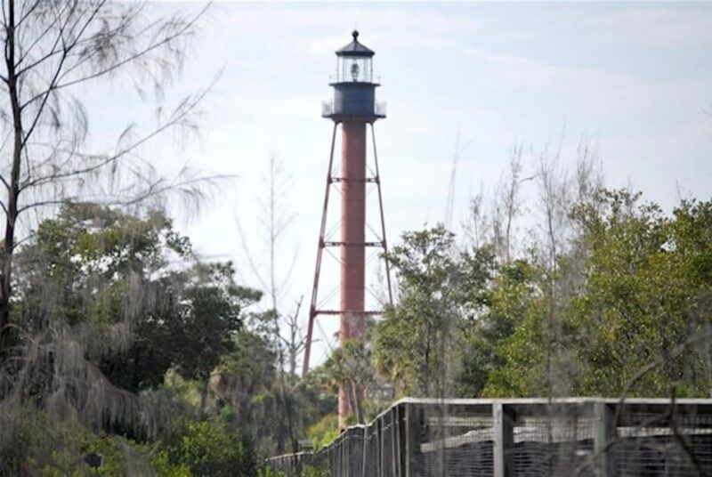 tarpon-springs-evening-dolphin-cruise