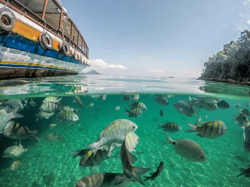 Tarrafal: Boat Trip with Snorkeling - Value for Money