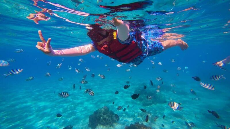 Tarrafal: Snorkeling Trip Along the Coastline - An In-Depth Look at the Tour