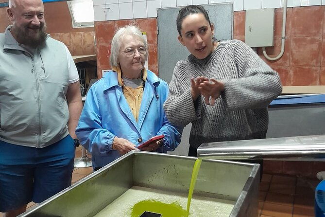 tarragona-history-olive-oil-tasting-from-barcelona