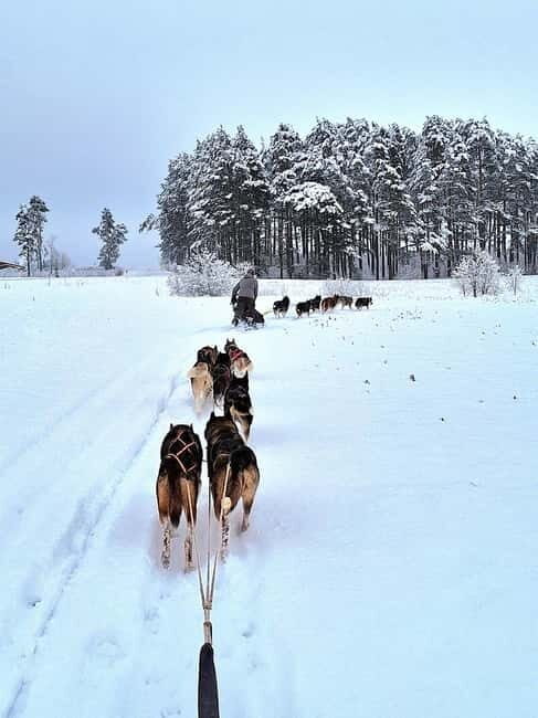 TARTU COUNTRY: SLED DOG TOUR AND KENNEL VISIT - FAQs