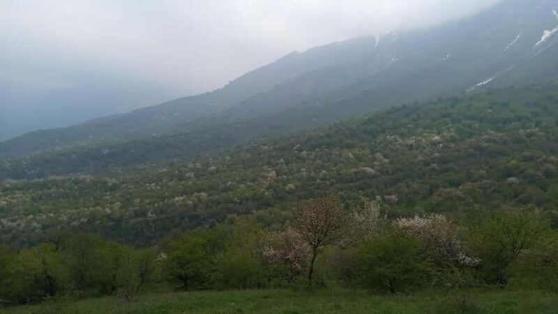 Tashkent: 2-Day Western Tian-Shan Mountains Hike - Who Should Consider This Tour?