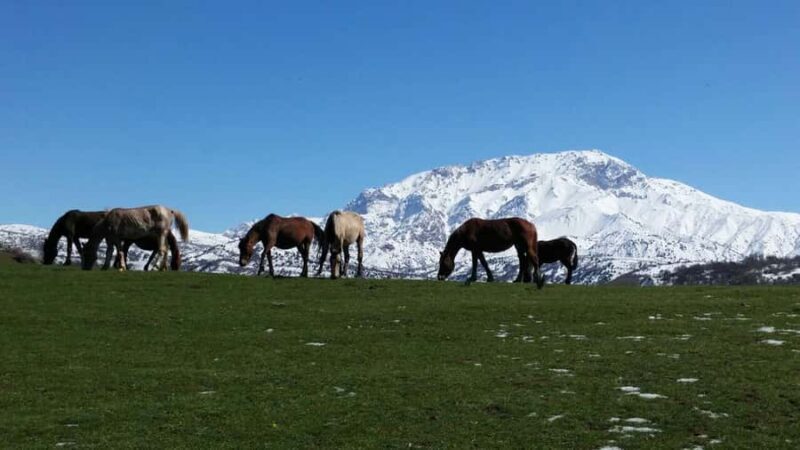 Tashkent: 2-Day Western Tian-Shan Mountains Hike - The Sum Up