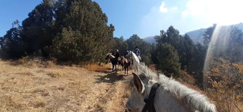 Tashkent: 3-Day Horseback Riding Tour in Chimgan Mountains - Key Points