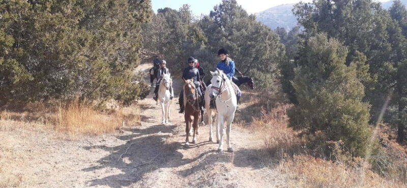 Tashkent: 3-Day Horseback Riding Tour in Chimgan Mountains - Practical Tips for Travelers