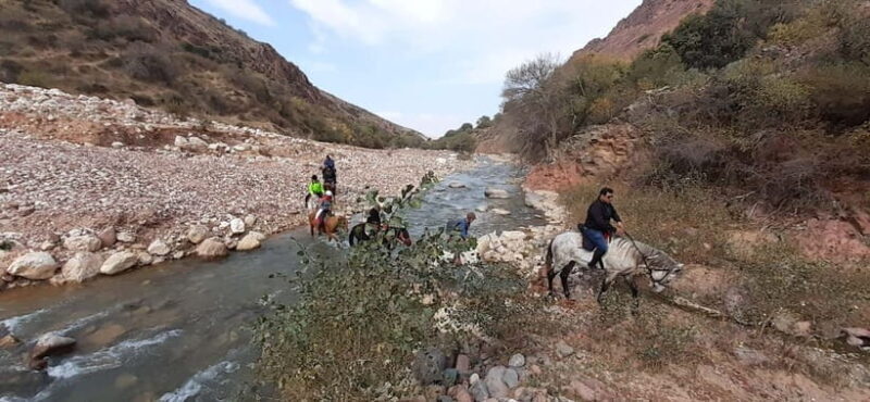 Tashkent: 3-Day Horseback Riding Tour in Chimgan Mountains - The Bottom Line: Who Will Love This Tour?