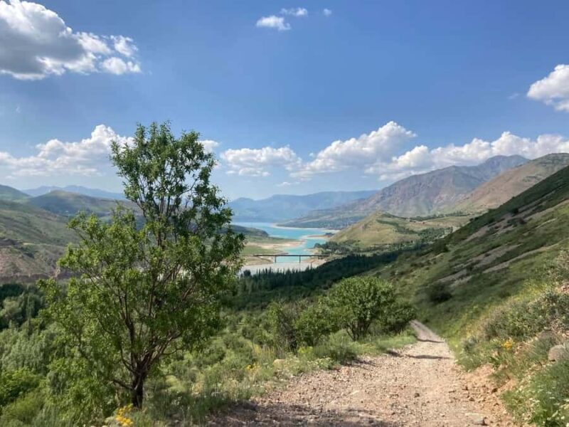 Tashkent Adventure: Nanay And Paltau Waterfalls and Lakeside - Transportation and Group Dynamics