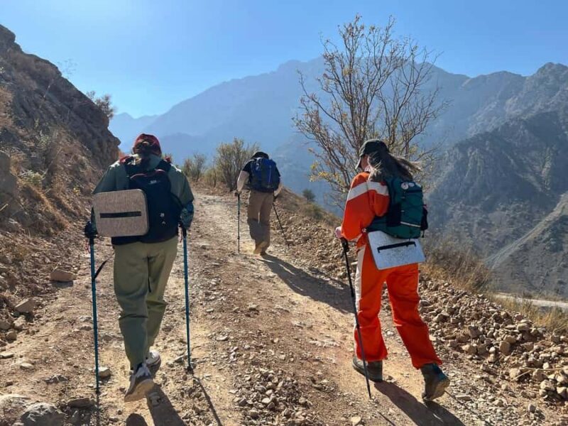 Tashkent: Obi-Rakhmat Cave and Paltau Waterfall Hike - An In-Depth Look at the Tour Experience