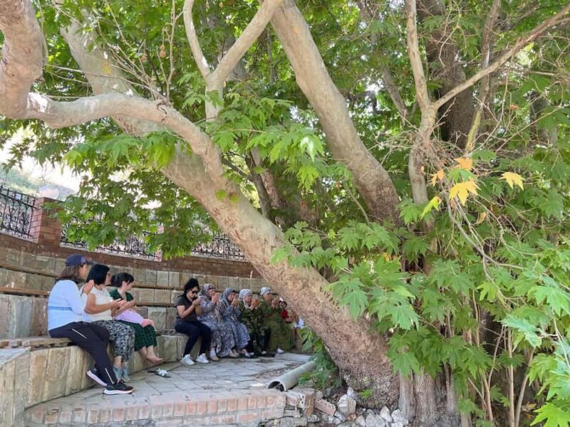 Tashkent: Solar Furnace Institute & Lunch in Yurt, Soqoq - FAQ