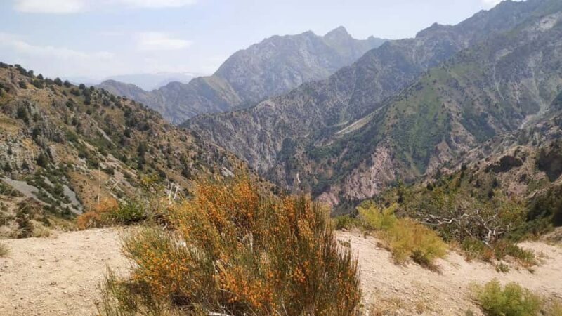 Tashkent: Tien Shan Mountains Guided Hike with Picnic - Practical Details: What You Need to Know