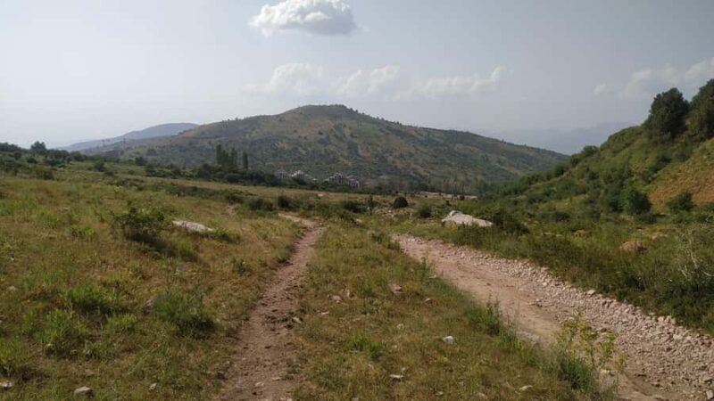 Tashkent: Tien Shan Mountains Guided Hike with Picnic - Cost and Value