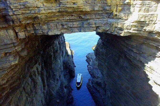 Tasman Island Cruises Day Tour from Hobart - The Land-Based Highlights