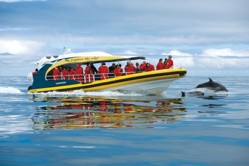 Tasman Peninsula Day Trip with Cruise & Devils from Hobart - Why This Tour Is a Great Choice