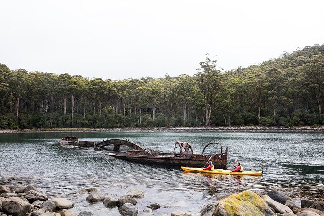 Tasman Peninsula full day kayaking tour - Exploring the Full-Day Kayaking Experience