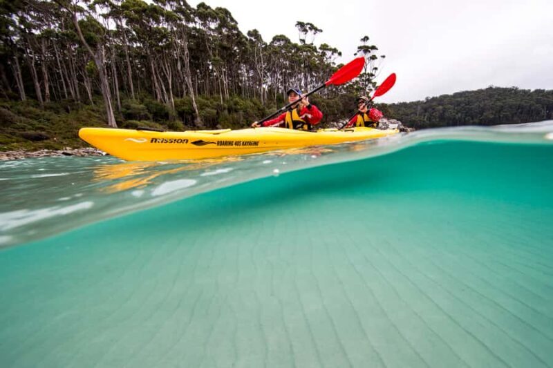 Tasman Peninsula Full-Day Sea Kayak Excursion - The Itinerary: A Closer Look at What Makes This Tour Special