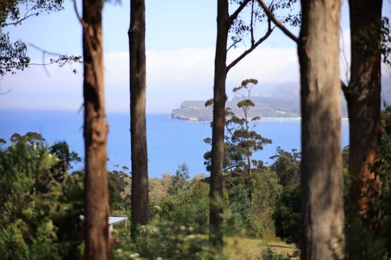 Tasman Peninsula Small-Group Guided Tour From Hobart - Authentic Experiences and Insider Tips