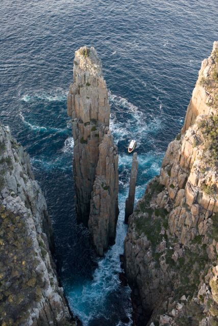 Tasman Peninsula Tour, Cruise & Port Arthur Historic Site - Who Would Love This Tour?