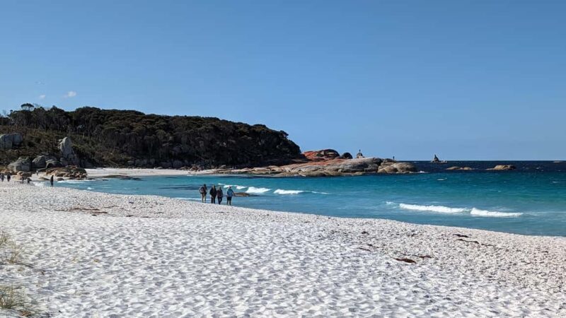 Tasmania: 6-Day Comfort Tour for Wilderness and Wildlife - An In-Depth Look at the Tasmania Comfort Tour