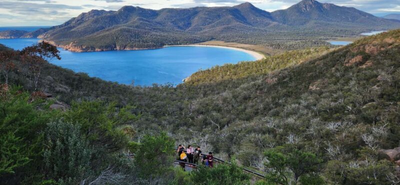 Tasmania: 6-Day Comfort Tour for Wilderness and Wildlife - Day 2: Gordon River Cruise & Tullah – The Heart of Wilderness