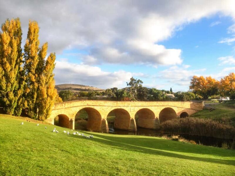 Tasmania: 6-Day Comfort Tour for Wilderness and Wildlife - Transportation & Group Size